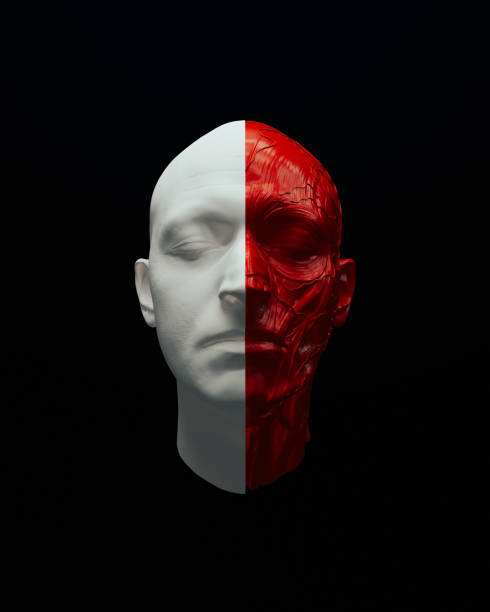 istock Red white anatomical head ecorche science biology cover 3d object black background 2158709004