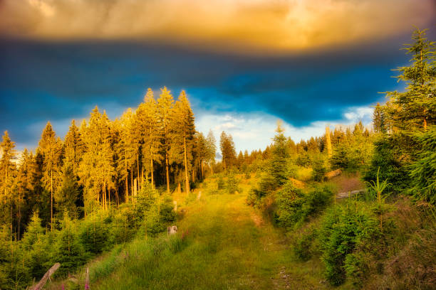 Sunset on the Rennsteig in the Thuringian Forest