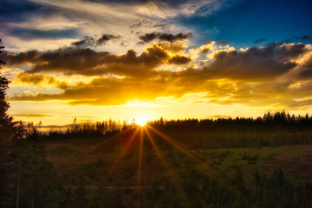 istock Sunset on the Rennsteig in the Thuringian Forest 2158711118