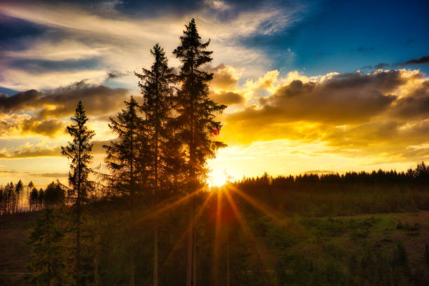 istock Sunset on the Rennsteig in the Thuringian Forest 2158711135