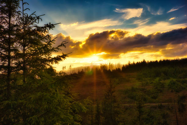 istock Sunset on the Rennsteig in the Thuringian Forest 2158711208