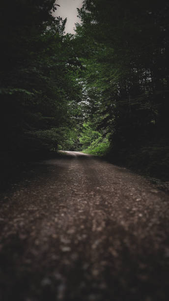 istock Mysterious road in the forest 2158711226