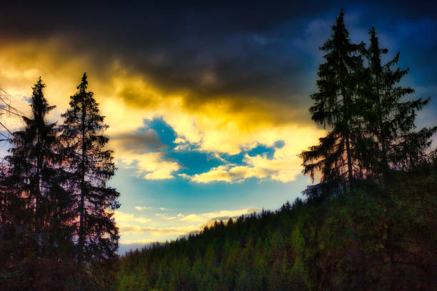 Sunset on the Rennsteig in the Thuringian Forest