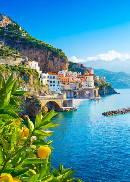 Beautiful view of Amalfi on the Mediterranean coast with lemons in the foreground, Italy Morning view of Amalfi cityscape on coast line of mediterranean sea, Italy amalfi food stock pictures, royalty-free photos & images