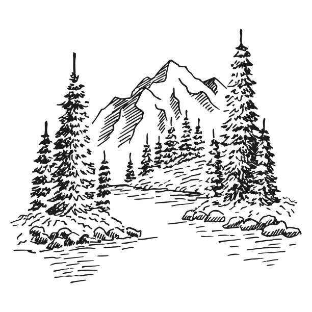 Hand drawn vector nature illustration with mountains and forest.
