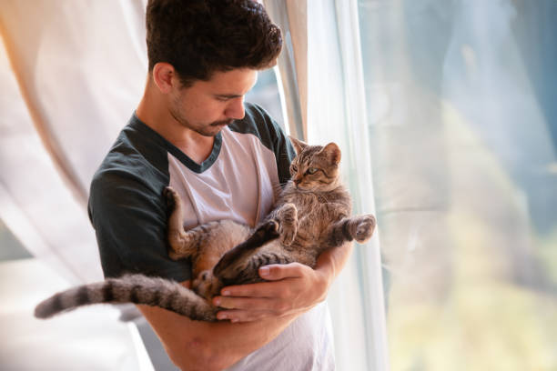 istock young man holds a gray tabby cat in his arms 2158714695