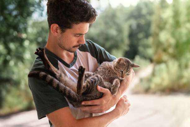 istock young man holds a gray tabby cat in his arms 2158714698