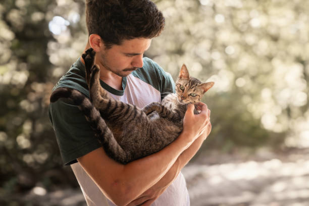 istock young man holds a gray tabby cat in his arms 2158714702