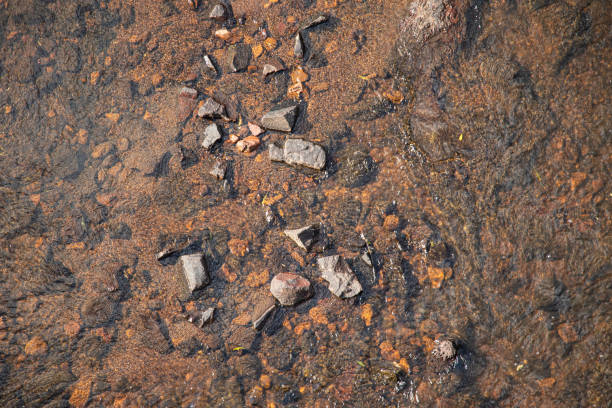 istock texture of crystal clear water, earth and stones 2158714738