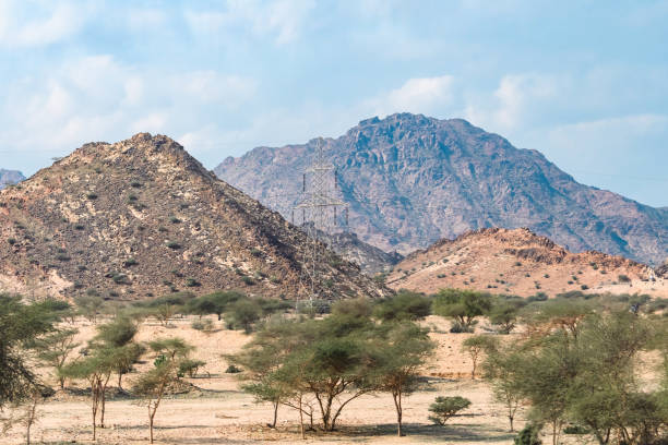 Medina, Saudi Arabia - December 22, 2022: A serene view of the rocky desert landscape in Medinaâs outskirts under a clear sky.