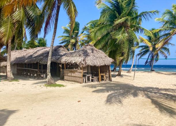 istock Natural material reed dining room on beach on small remote tranquil island. Palm trees, turquoise clear sea, coral reef, white sand. Sea view dining. San Blas islands, Guna Yala Comarca, Panama. 2158717985