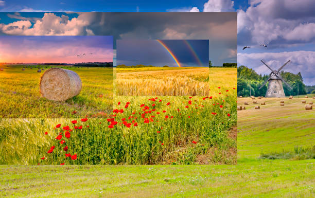 istock Fantasy summer Baltic landscape with agricultural motifs 2158718037