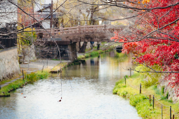 Serene river flowing under a rustic wooden bridge, flanked by vibrant red autumn leaves and lush green grass. Quaint houses and stone walls add charm to this tranquil landscape, captured with branches gently framing the scene.