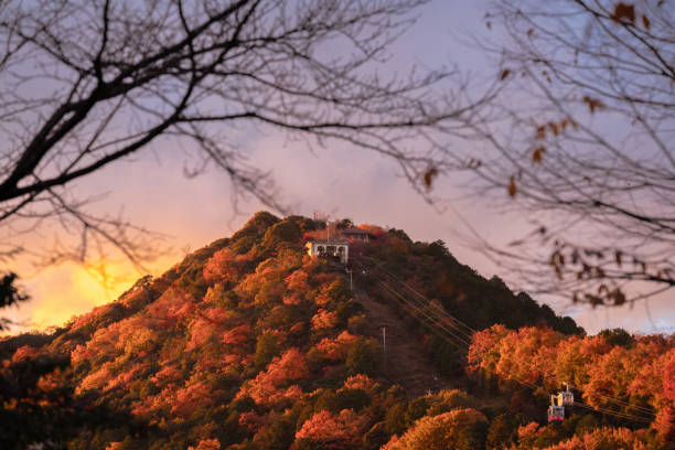 A stunning autumn landscape captures a cable car journeying up a mountain adorned with vibrant fall foliage. The warm hues of red, orange, and yellow create a picturesque scene, framed by tree branches. A building sits atop the mountain, adding a sense of destination to the tranquil yet dynamic view.