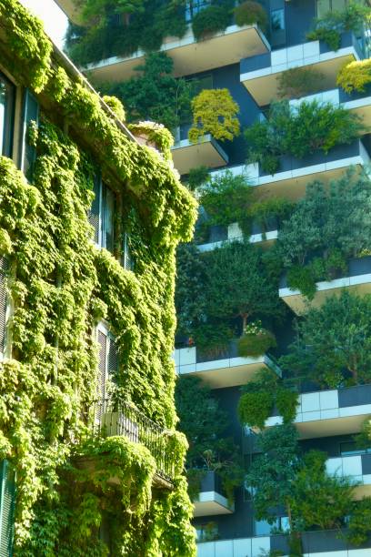 istock Buildings with ivy and trees 2158724742
