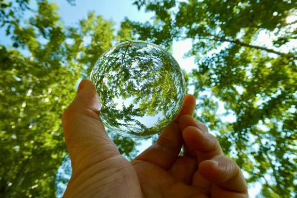istock Hand holding crystal ball against trees 2158724761