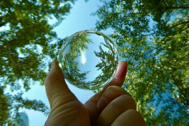 istock Hand holding crystal ball against skyscraper and trees 2158725119