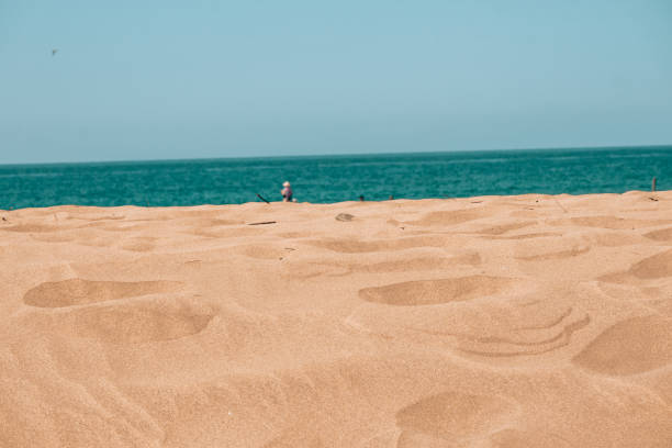 Patara beach where turtles hatch