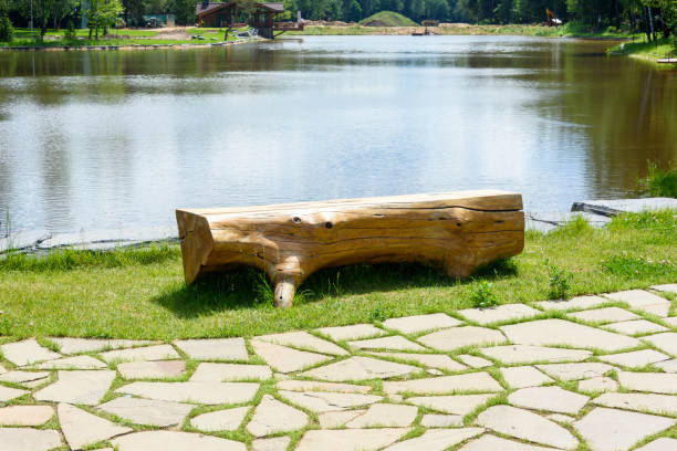 A bench made of a solid tree trunk on the bank of a pond. A walk in the park.