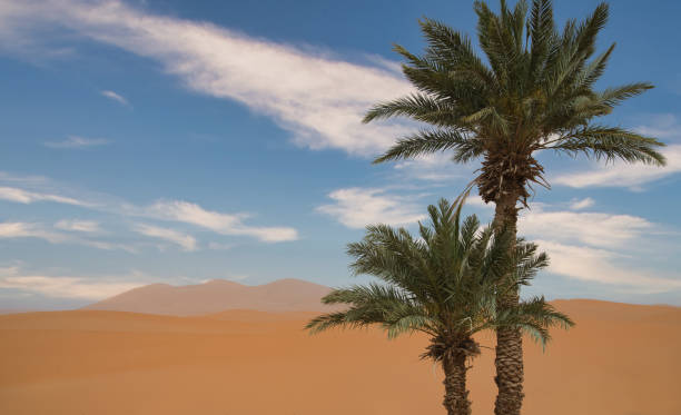 istock Sahara desert landscape in Morocco 2158740303