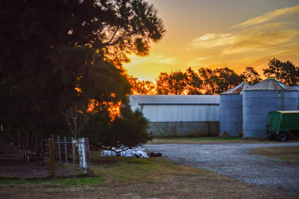 Sunsetting behind a Farm