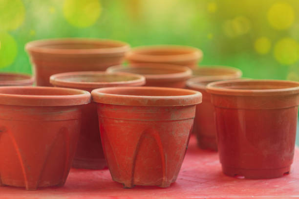 Empty Red Plastic Pots For Growing Plants, Planting Flower Seedlings, Vegetables, Spices On Background Blurred Green Plant Background In Garden With Yellow Gradient Sunlight