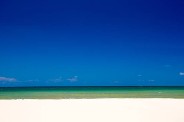 beach and tropical sea
