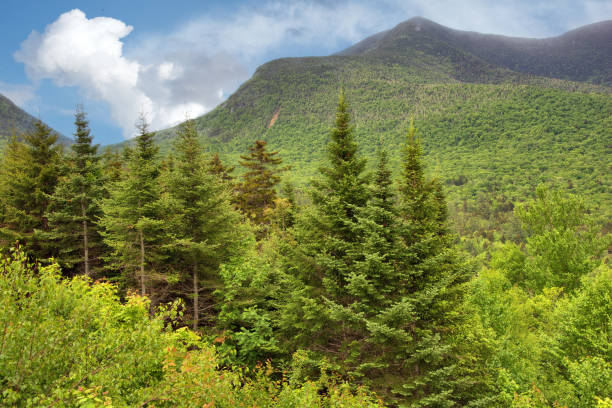 istock Tall Peaks of Mount Osceola 2158766899
