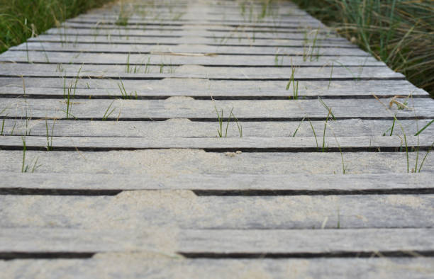 Passerelle en bois vers la plage, Sentier du littoral, Pointe de la Varde