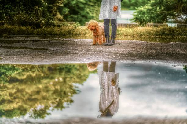 Dog-walking