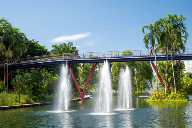 Singapore, Singapore - April 1, 2024. Fountains in Gardens by the Bay with people walking on bridge in Singapore