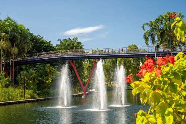 Singapore, Singapore - April 1, 2024. Fountains in Gardens by the Bay with people walking on bridge in Singapore