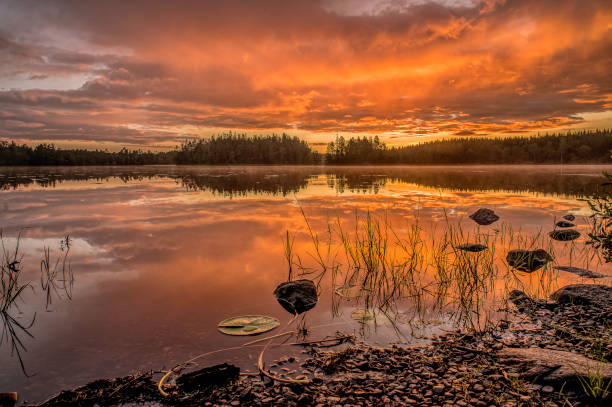shoreline with pebbles at sunrise over a calm lake in Sweden, June 16, 2024