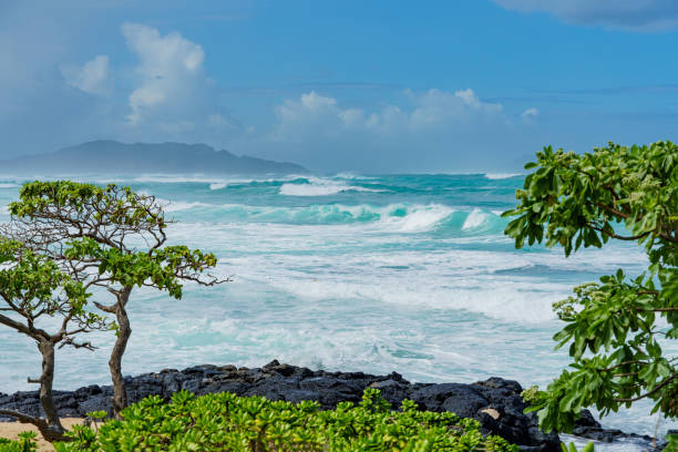 Beach at sunrise on the Poipu Coast of the Hawaiian Island of Kauai
