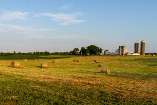 istock Hay Bales at Sunset 2158777139