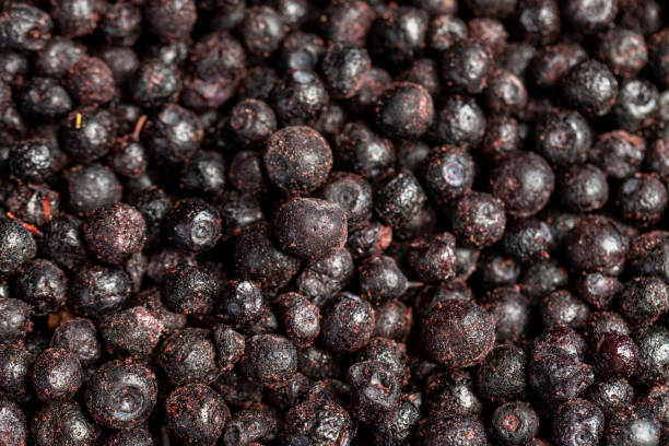 istock blueberry harvest frozen quickly to preserve vitamins 2158778366