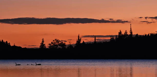 Twilight over a still, glassy, mountain lake. The orange light of the sunset fades into the blue light of twilight. The mountains, a log, and a few geese are silhouetted against the light. This is Upper Kents Lake in the Beaver Mountains in Utah.