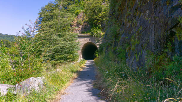 istock views from trip Lake and forest and bycicle and others 2158778862