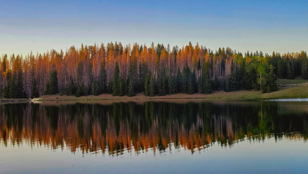 Panoramic Alpen Glow by the Lake