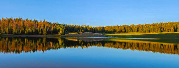 istock Glowing Meadow by the Lake 2158779537