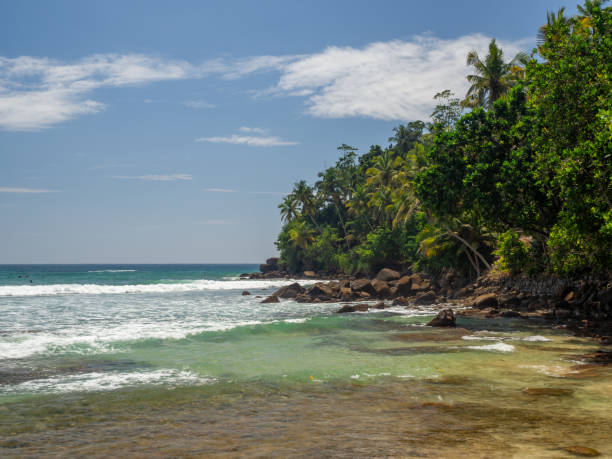 istock Sri Lanka, Ceylon Island nature and beach 2158784917
