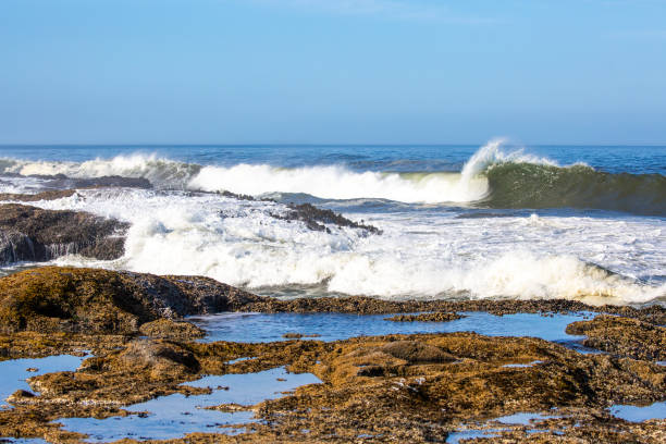 istock Pacific ocean waves landing on the rocky Oregon coast 2158788336