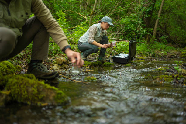 istock Field Ecology. Sustainability & Water Conservation in River Habitats. 2158790177