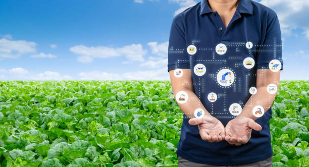 istock Agricultural engineer or farmer with graphic display in farm 2158790363