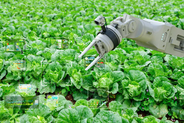 istock Agriculture technology concept with assistant robot and graphic display 2158790373