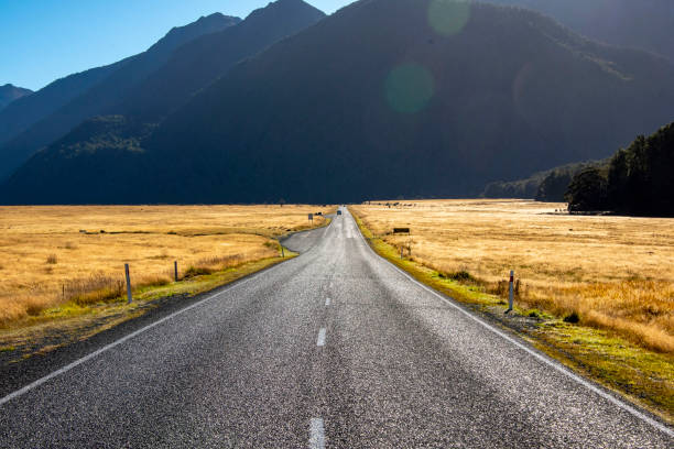 istock Te Anau Milford Highway 94 2158802536