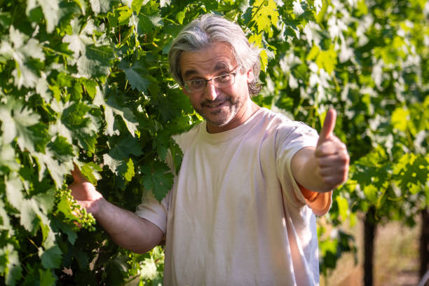 Smiling Caucasian Mature man looking at the camera posing outside at his vineyard fields with his thumb up at sunset wearing a t-shirt