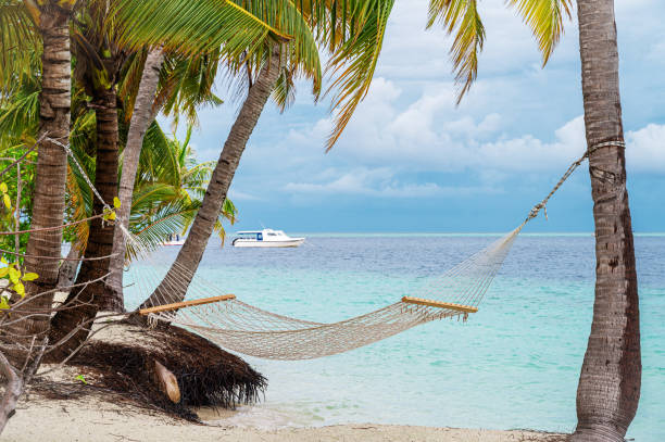 Hammock hanging between two palm trees on the tropical paradise beach