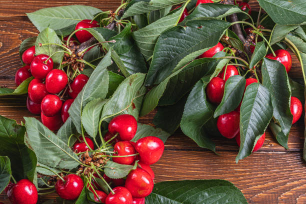 istock several branches of ripe fresh cherries on a branch on the table 2158806179