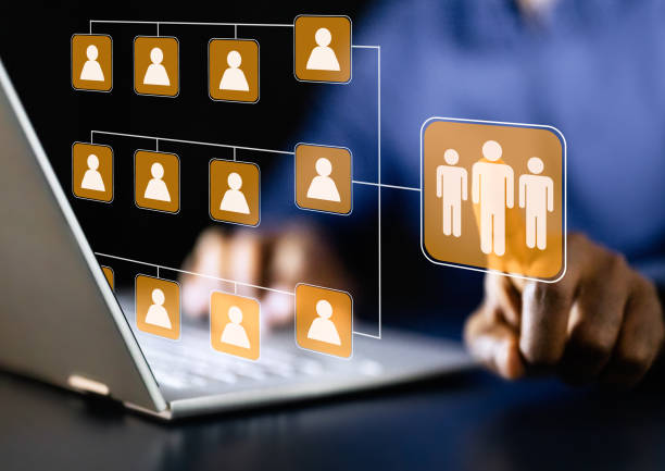 istock Young African American digital marketing consultant analyzing workflow on laptop 2158808045
